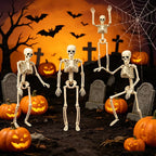 cd75ce1d-8303-42bd-9246-7b24c46694e6-Max-Origin